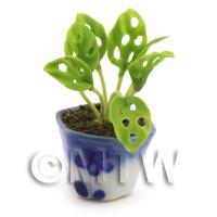 Dolls House Miniature Cheese Plant 