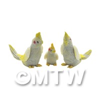 Pair Of Dolls House Miniature Grey Cockatoos With Baby