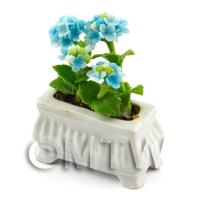 Light Blue Dolls House Miniature Verbenas in a White Flower Pot