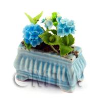 Light Blue Miniature Verbenas in a Blue Flower Pot