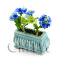 Dark Blue Miniature Verbenas in a Blue Flower Pot