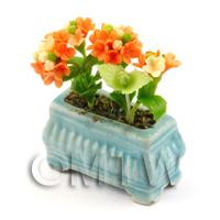 Orange  Dolls House Miniature Verbenas in a Blue Flower Pot