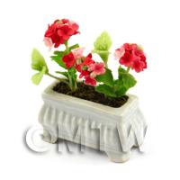 Red  Dolls House Miniature Verbenas in a White Flower Pot