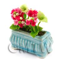Red Miniature Verbenas in a Blue Flower Pot