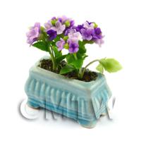 Purple Miniature Verbenas in a Blue Flower Pot