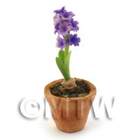 Dolls House Miniature Purple Hyacinth in a Terracotta Pot
