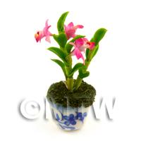 Dolls House Miniature Pink Orchid In A Blue Pattern Ceramic Pot 