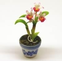 Dolls House Miniature Red Soph Orchid 
