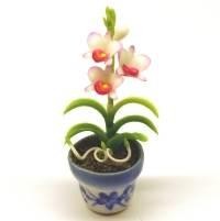 Dolls House Miniature Red Dendrobium Orchid 