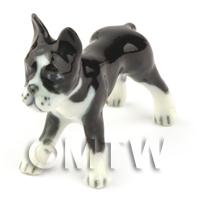 Dolls House Miniature Ceramic Black and White Boxer Dog