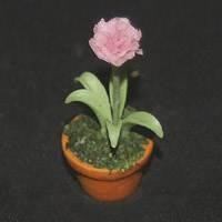 Dolls House Miniature Potted Pink Carnation