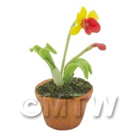 Dolls House Miniature Potted Yellow Orchid