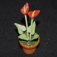 Dolls House Miniature Potted Red Cala Lilly