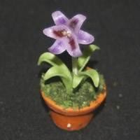 Dolls House Miniature Potted Purple Lilly