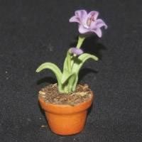 Dolls House Miniature Red Terracotta Potted Purple and White Flower