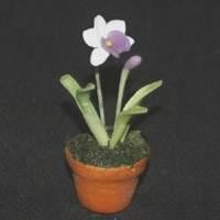 1/12th scale - Dolls House Miniature Terracotta Potted Purple and White Flower