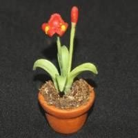 Dolls House Miniature Potted Red and Yellow Iris