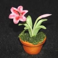 Dolls House Miniature Potted Pink And White Lilly