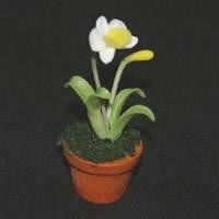 Dolls House Miniature Potted White and Yellow Flower