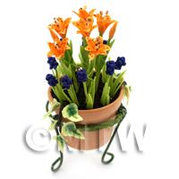 Miniature Orange   Blue Flowers In A Standing Pot 