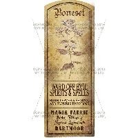 Miniature Mandrake Root Magic Properties Label  