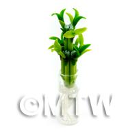 Dolls House Miniature Lucky Bamboo Plant in a Glass Vase 