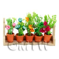 Dolls House Miniature 5 Plants On A Wood Plant Stand