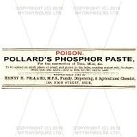 Pollards Phosphor Paste Miniature Apothecary Label