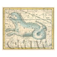 Dolls House Miniature 1800s Star Map With Cetus