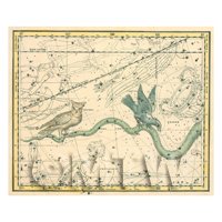 Dolls House Miniature 1800s Star Map With Noctua, Corvus And Hydra
