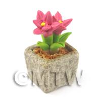 1/12th scale - Miniature Handmade Pink Coloured Ceramic Flower (CFP3)