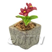 Miniature Handmade Red Coloured Ceramic Flower (CFR16)