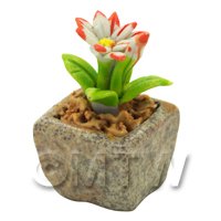 Miniature Handmade Dual Coloured Ceramic Flower (CFD01)