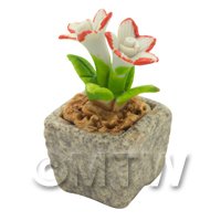 Miniature Handmade Dual Coloured Ceramic Flower (CFD02)