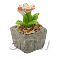 Miniature Handmade Dual Coloured Ceramic Flower (CFD05)