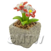 Miniature Handmade Dual Coloured Ceramic Flower (CFD07)