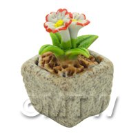 Miniature Handmade Dual Coloured Ceramic Flower (CFD08)