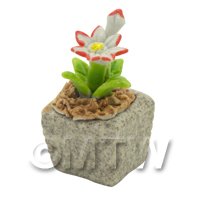 Miniature Handmade Dual Coloured Ceramic Flower (CFD09)