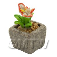 Miniature Handmade Dual Coloured Ceramic Flower (CFD10)
