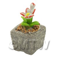 Miniature Handmade Dual Coloured Ceramic Flower (CFD11)