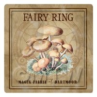 Dolls House Miniature Apothecary Fairy Ring Fungi Colour Box Label