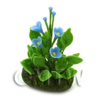 Dolls House Miniature Flower Bed Forget Me Nots