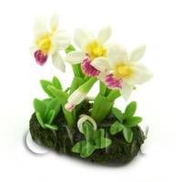 Dolls House Miniature Flower Bed Cattleya Orchid