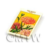 Dolls House Flower Seed Packet - Thlaspi