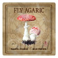 Dolls House Miniature Apothecary Fly Agaric Fungi Colour Box Label