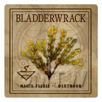 Dolls House Herbalist/Apothecary Square Bladderwrack Herb Label