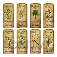 Dolls House Herbalist/Apothecary Short Herb Colour Label Set 5