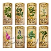 Dolls House Herbalist/Apothecary Short Herb Colour Label Set 7