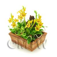 Dolls House Miniature Yellow Striped Dendrobium Orchid Display