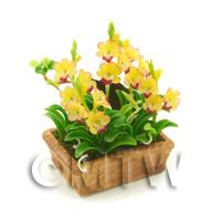 1/12th scale - Dolls House Miniature Red / Yellow Cymbidium Orchid Display